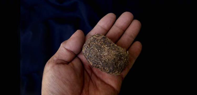 10 خواص عنبر نسا برای عفونت چشم،گوش،سینوزیت،عفونت،مو و عفونت ادراری