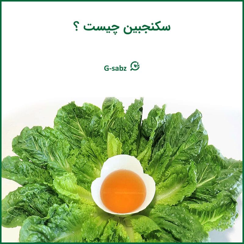 سکنجبین چیست