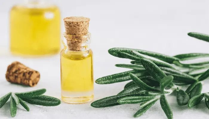 روغن رزماری روغن رزماری