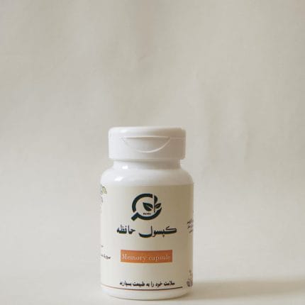 کپسول حافظه