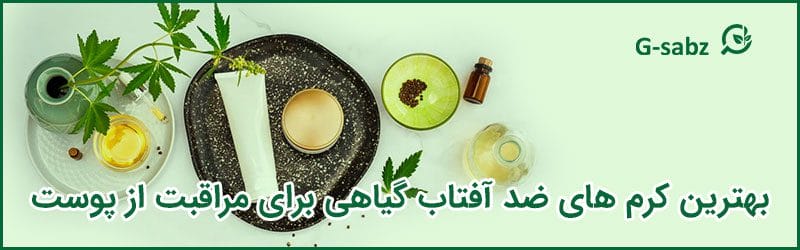 بهترین کرم‌ های ضد آفتاب گیاهی برای مراقبت از پوست